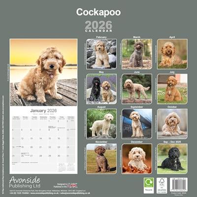 Cockapoo Calendar 2026 Square Dog Breed Wall Calendar - 16 Month