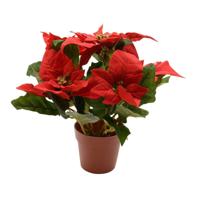 Poinsettia zijde pot d16h27 cm kerstrood kerst Decoris - Decoris - thumbnail