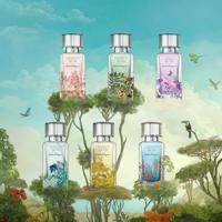 Ferragamo - Salvatore Ferragamo Foreste Di Seta Eau de Parfum Spray 50 ml - thumbnail