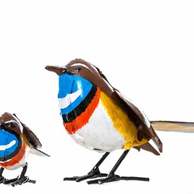 Metalen Jong Blauwborstje