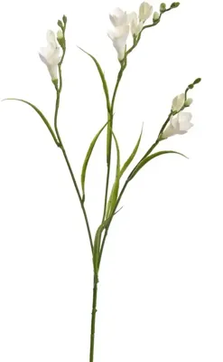 Pure Royal kunsttak freesia 65cm crème