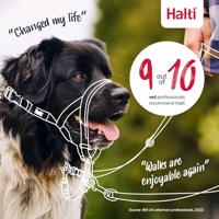 Trainingshalsbanden voor honden Company of Animals Halti Muilkorf (31-40 cm) - thumbnail