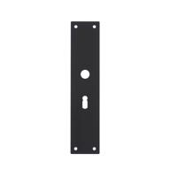 Intersteel renovatieschild rechthoekig 250x55x2mm sleutelgat 56mm - RVS/mat zwart - thumbnail