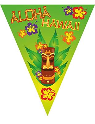 Vlaggenlijn Hawaii Tiki (5m)