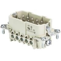 Wieland Electric 70.310.1040.0 Pin-inzetstuk BAS Totaal aantal polen 10 + PE 1 stuk(s) - thumbnail