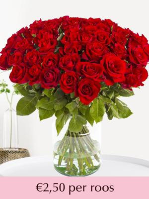 Rode rozen - XL rozen 60 cm - 10 t/m 99 rozen - EverRed Rode rozen - XL rozen 60 cm - 10 t/m 99 rozen - EverRed