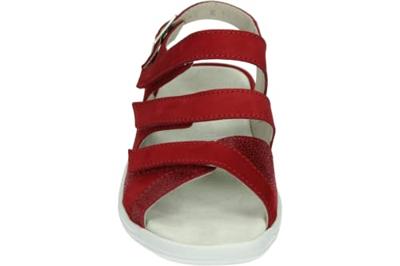 Strober HEDWIG 74023K - alle