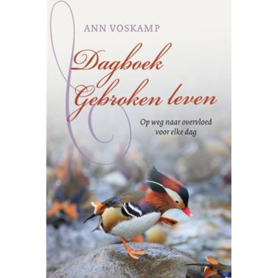 Dagboek Gebroken leven (Hardback)