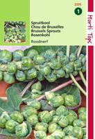 Zaden Spruitkool Roodnerf Hortitops - Hortitops - thumbnail