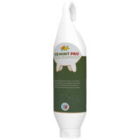 Ice Mint Pro Gel Sta- / Hangtube 1 l - thumbnail