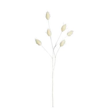 Kunsttak Lagurus - creme - 70 cm