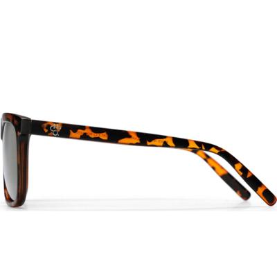 CHPO bril bruce turtle brown/brown