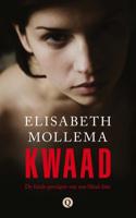 Kwaad - Elisabeth Mollema - ebook - thumbnail