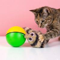 Interactieve wezelbal voor katten - thumbnail