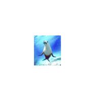 Animal Essences Seal (zeehond) 30 Milliliter - thumbnail