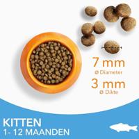 Iams Kitten kattenvoer met zeevis 2 x 10 kg - thumbnail