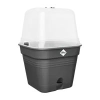 Elho green basics growpot square all-in-1 living black 15 - thumbnail