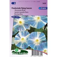 Ipomoea Tricolor zaden Flying Saucers Klimmende Winde - thumbnail