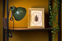 Lucide G45 - Filament lamp - Ø 4,5 cm - LED Dimb. - E27 - 1x4W 2700K - mat - thumbnail