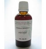 Cruydhof Lavandula Officinalis Flor/Lavendel Druppels