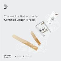D&apos;Addario Woodwinds ORSF03SSX2H Organic Select Jazz Sopraansaxofoonriet, 2 hard, 3-pack - thumbnail
