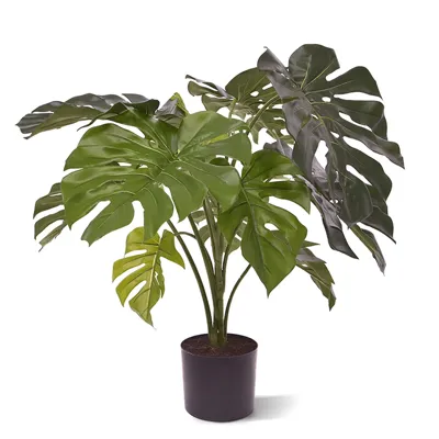 Monstera 80 cm - Kunstplant Monstera 80 cm - Kunstplant