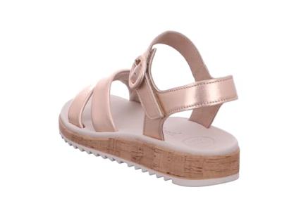 Paul Green 6112 - alle