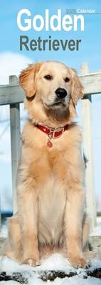 Golden Retriever Kalender 2026 Slimline
