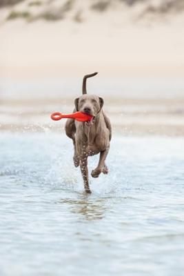 BZ TPR HSP VLIEG BOEI RD 28