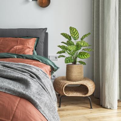 Calathea Makoyana kunstplant 60cm