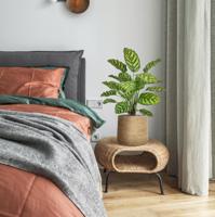 Calathea Makoyana kunstplant 60cm - thumbnail