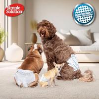 SIMPLE SOLUTION WEGWERP PLASBAND REU XS 12 ST - thumbnail