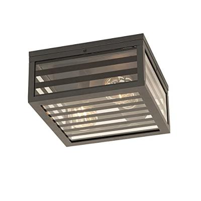 QAZQA Moderne buiten plafondlamp zwart glas 2-lichts IP44 - Reims