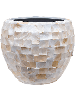 Oceana Couple Wit - thumbnail