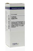 Vsm Lachesis Mutus D12 (20ml) - thumbnail