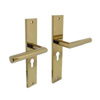 Intersteel Deurklink Bastian op schild 245x45 mm met profielcilindergat 55mm messing titaan PVD - thumbnail