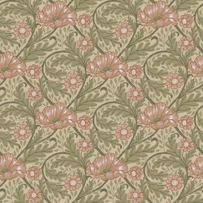 Midbec FC Angas- Esther Apricot - 13115