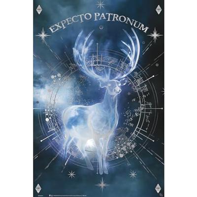 Poster Harry Potter - Expecto Patronum 61x91,5cm Poster Harry Potter - Expecto Patronum 61x91,5cm
