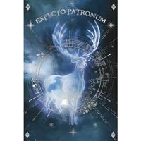 Poster Harry Potter - Expecto Patronum 61x91,5cm - thumbnail