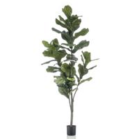Kunstboom Ficus Lyrata 150cm - thumbnail