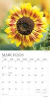 Sunflowers Kalender 2026 - thumbnail