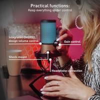 CHERRY UM 9.0 PRO Microfoon Zwart, Koper - thumbnail