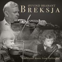 Breksja - Traditional Music From Hallingdal - CD (7041885309621) - thumbnail