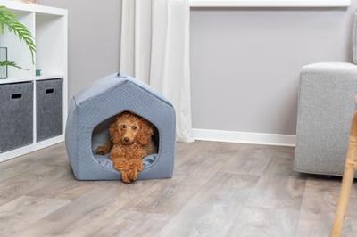 TRIXIE KATTENMAND IGLO ALENA BLAUW / GRIJS