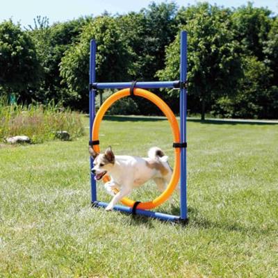 TRIXIE Fun-Agility Hoepel set, blauwgeel TRIXIE Fun-Agility Hoepel set, blauwgeel