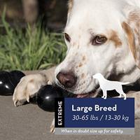 KONG - Extreme Goodie Bone - Duurzaam Rubber Hondenbot voor Power Chewers, Zwart - Voor Grote Honden - thumbnail
