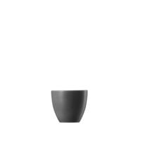 THOMAS - Sunny Day Grey - Eierdopje - thumbnail