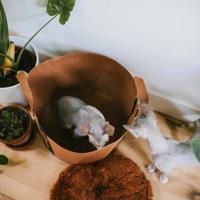 Kattenmand Paper Cognac - thumbnail