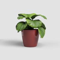 Pot - ARTEVASI - SAN REMO - 42 br - Soé rood - thumbnail