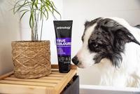 Animology True Colours Dog Shampoo - thumbnail